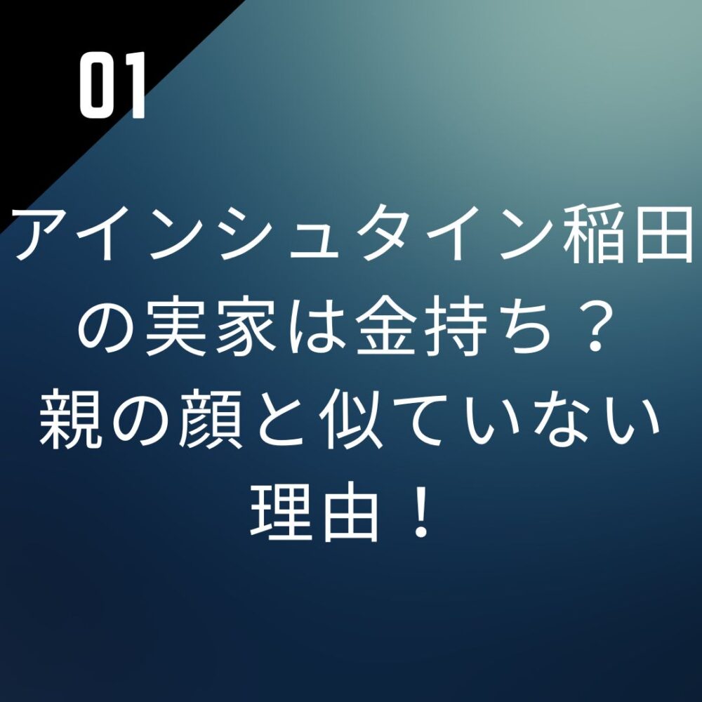 アインシュタイン稲田の実家は金持ち？親の顔と似ていない理由！